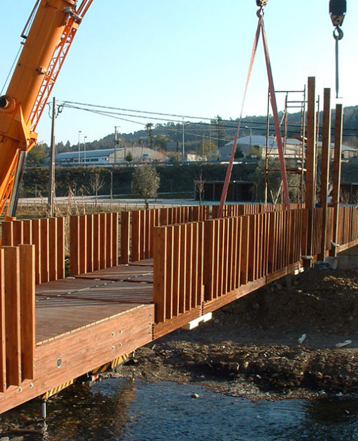 PEDESTRIAN BRIDGE GOIS